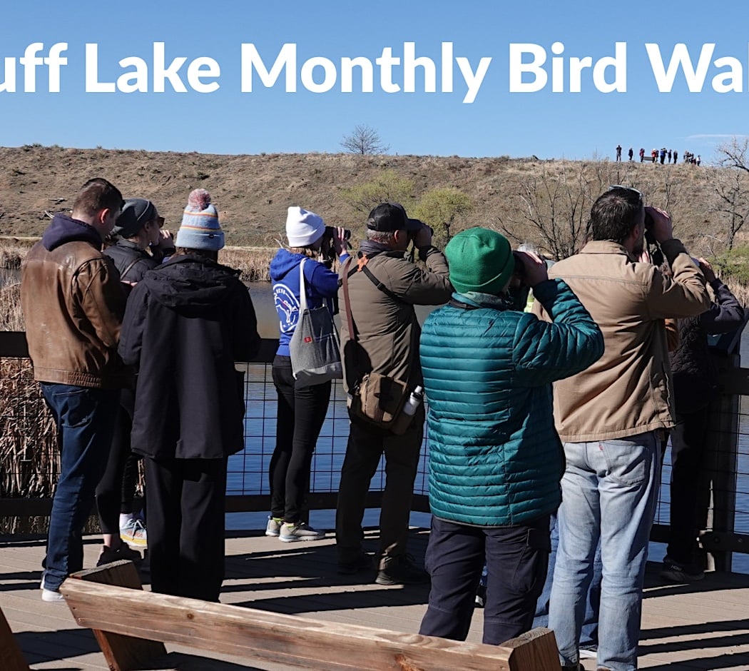 Monthly Bluff Lake Bird Walk